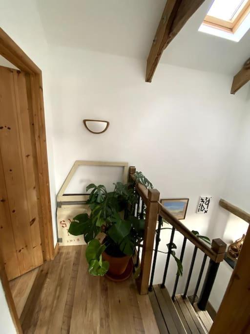9A Viaduct Cottage - The Cosiest Bolthole In The Sw! Хейл Экстерьер фото
